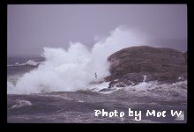 noreaster